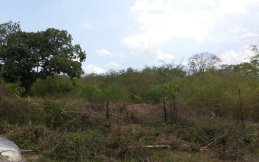 May Pen Residential Lot, Kingston, Jamaica