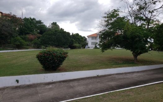 Executive Residential Property, Belvedere